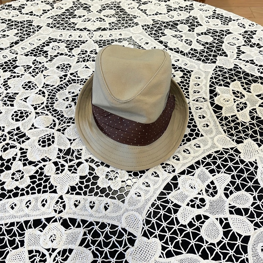 Goorin fedora with a feather image on the side